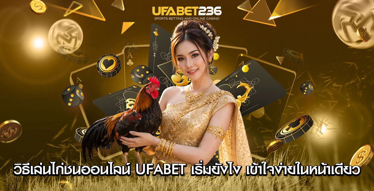 วิธีเล่นไก่ชนออนไลน์ UFABET